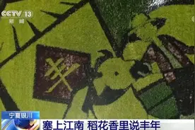 塞上江南 稻花香里说丰年图片