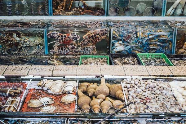 侧切撕裂伤口吃花胶 2025年侧切撕裂伤口吃花胶好吗