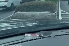 有趣！重庆一动画指路牌像贪吃蛇图片