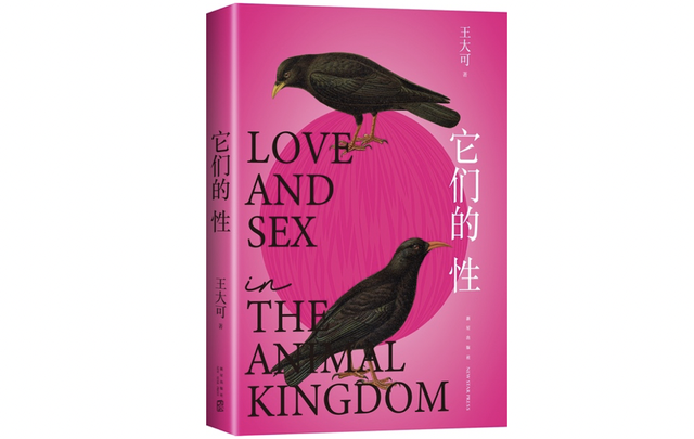 电脑不变心完结破解版（动物世界的窃听风云）