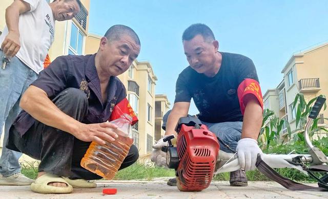 成都青白江区：长满杂草的花园变成村民的“共享菜园”