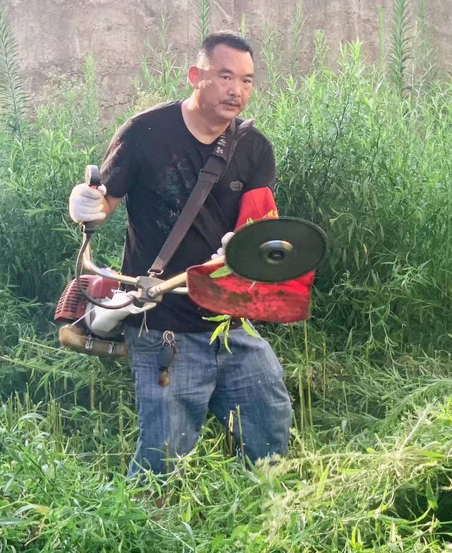成都青白江区：长满杂草的花园变成村民的“共享菜园”