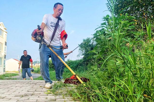 成都青白江区：长满杂草的花园变成村民的“共享菜园”