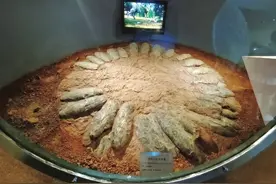 恐龙以新形态存活，鸡鸭鹅是它的后代图片