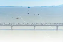 碧波上的守桥人图片