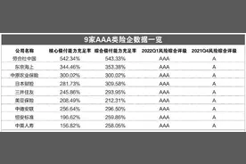 保险业新评级渐次掀起盖头 9家险企“打卡”AAA类图片