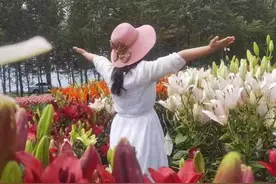 “百亩花田”铺美景 乡村新增致富路图片