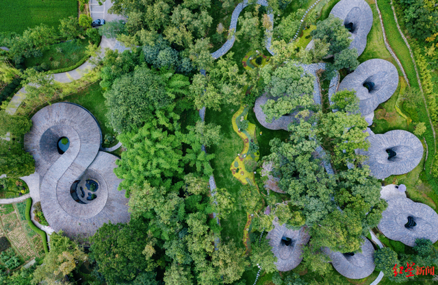 红星对话｜人口经济学家张耀军：全国户籍制度统一已在眼前，“学历落户”会被淡化甚至停止