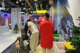 外地新规“出门遛狗须戴嘴罩”引热议，深圳市民这样说→图片