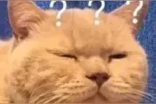 驾校教练“偷拍”女学员？部分内容被质疑“开车”图片