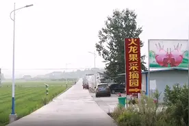 “火”了产业 甜了生活 靖州火龙果喜丰收图片