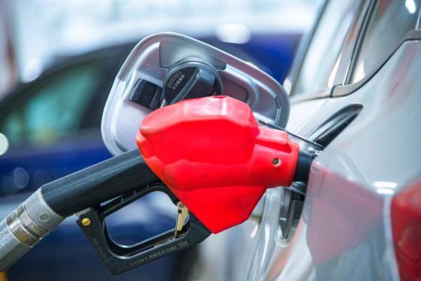 广东最新明确：明年起，全面推广使用