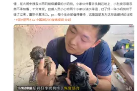 消防员火场救出两只被熏晕小奶狗，消防：每个生命都值得被善待图片