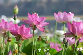 济南彩友豪夺选快乐8十中十500万元大奖图片