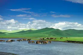 带上孩子去玩吧｜在夏天把床搬进大草原看星辰大海图片