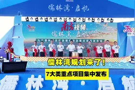 九江重磅发布儒林湾规划，重塑佛山南大门空间格局｜儒林湾启航图片