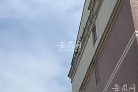 合肥和煦园小区一住户多年养鸽子 物业、社区等回应图片