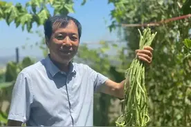 “天台种菜”引热议，众多网友想效仿：我家能种吗图片