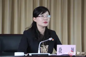 从“明星”到“流星”的陨落，曾是全国最年轻女厅官落马图片