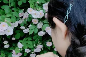 青未了 | 好女人图片
