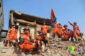 追梦火焰蓝·守护万家灯火丨“蓝焰知己”：搜救犬与训导员的别样“战友情”图片