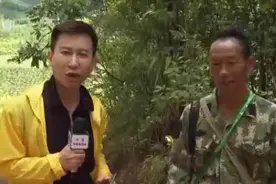 “大象食堂”开张了！云南野生亚洲象数量已超300头……图片