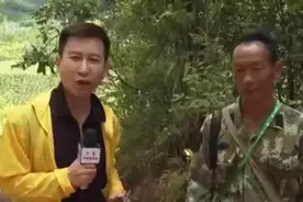 “大象食堂”开张了！云南野生亚洲象数量已超300头……图片