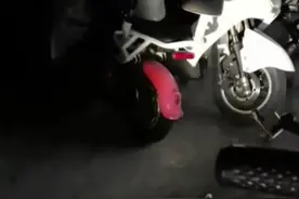 流浪猫挡住宠物医生道路被做绝育手术，网友：遇到了“拆蛋专家”图片