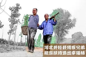 你是我的眼 我是你的手——河北井陉县残疾兄弟相互扶持造出幸福林图片