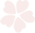 ѡʼͶƱ