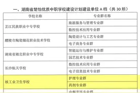 喜报！核工业卫生学校成功获批湖南省楚怡优质中职学校建设计划建设单位图片