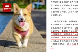 花了200万，没凑齐奥特曼 / 离婚，争宠物抚养权图片