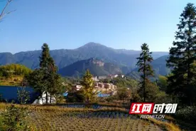 炎陵旧貌换新颜 一颗黄桃的高速之旅图片