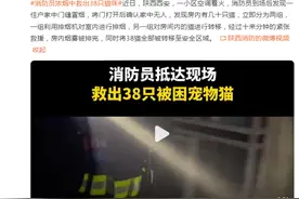 不放弃任何生命，消防员浓烟中救出38只猫咪图片