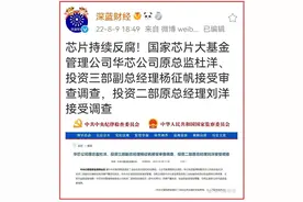 中国芯片行业名人快被一网打尽了图片