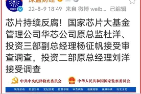 中国芯片行业名人快被一网打尽了图片
