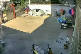 小狗走丢近一年突然回家，主人：不敢相信，妈妈眼眶都红了图片