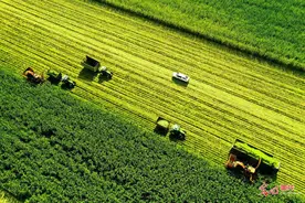 北大荒：喜开垦区玉米收获第一镰图片