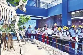 齐河2家景区入选省级生态研学旅游产品图片