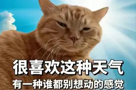 热死“鸟”！老鹰在南京中暑坠入江中……图片