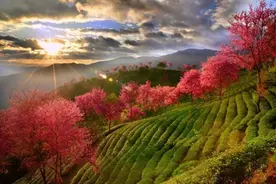 有你家乡吗？云南省20个美丽县城名单出炉图片