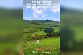 不必去到内蒙新疆，云南也有你向往的草原风光图片