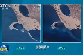 解码十年丨开启人与自然和谐共生新篇章图片