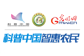 牡丹如何繁殖和养护？图片