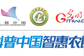 常见盆栽观叶植物有哪些？如何养护？图片