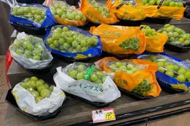 500元→10元！“水果刺客”价格大跳水图片