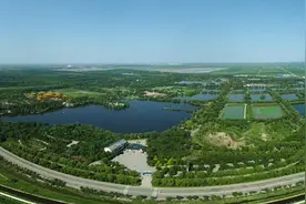 从一棵树到三万亩林海图片