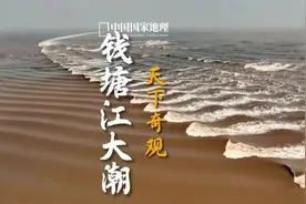 暑假作文素材请收好！今天钱塘江大潮来了，这些地点适合观潮→图片