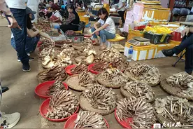 吃菌热度不减！云南木水花野生菌交易市场销售额瞄准80亿元图片
