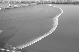 顶40℃高温到江边观“鬼王潮”，有人遗憾：太快了，潮水都没上岸图片